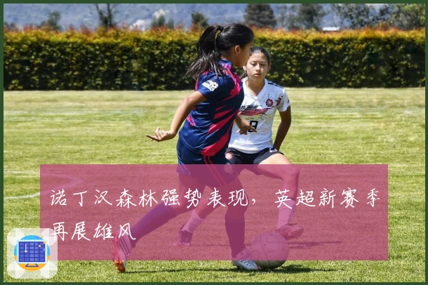 诺丁汉森林强势表现，英超新赛季再展雄风