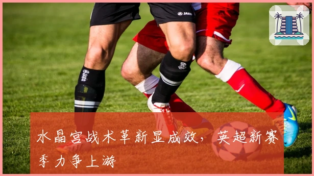 水晶宫战术革新显成效，英超新赛季力争上游