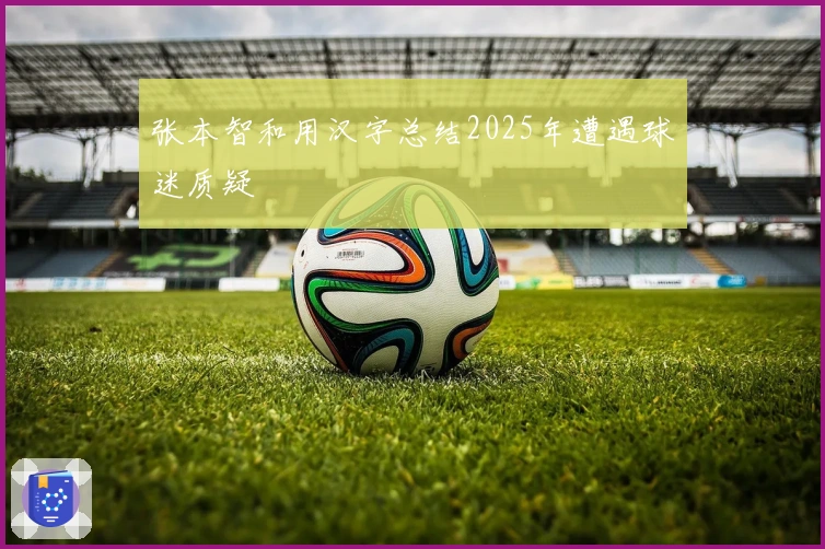 张本智和用汉字总结2025年遭遇球迷质疑